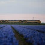 7 redenen waarom je je volgende dagje uit met de trein reist