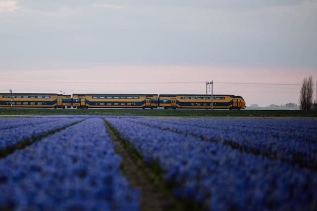 7 redenen waarom je je volgende dagje uit met de trein reist