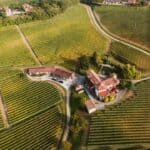 Wijnreizen in Italië: ontdek Barolo en de mooiste wijngebieden