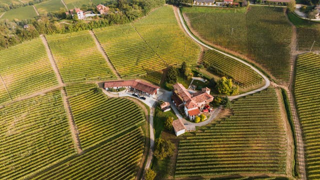 Wijnreizen in Italië: ontdek Barolo en de mooiste wijngebieden