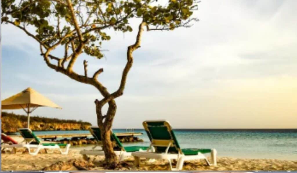 De vliegtijd naar Curaçao is korter in 2025 alle actuele details en routes