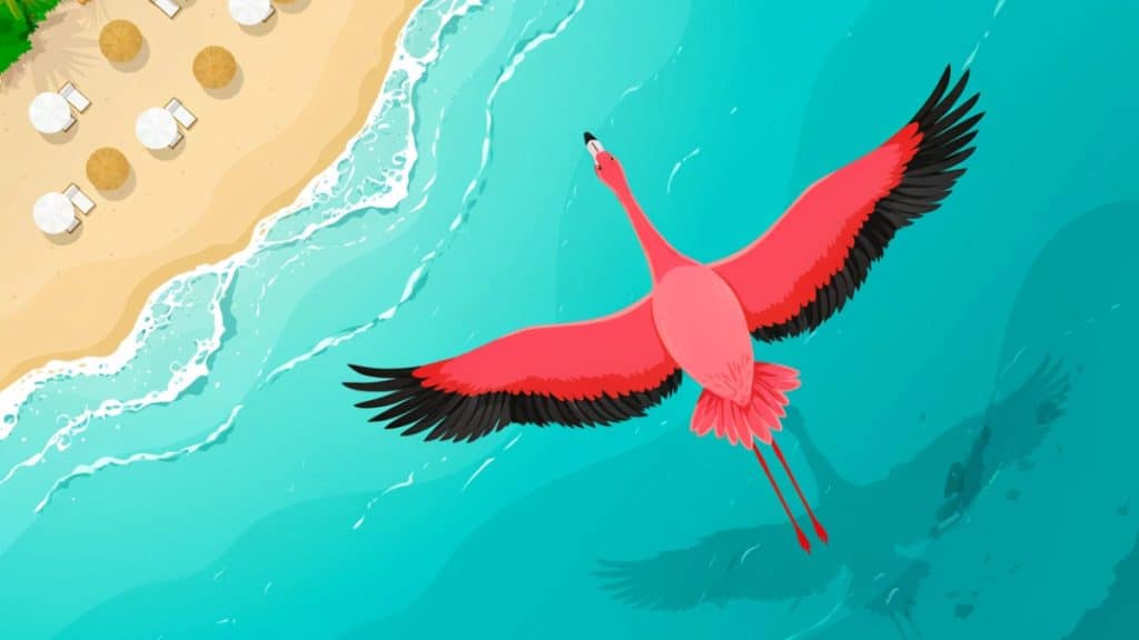 Vliegtijd Curaçao: hoe lang vliegen en handige tips voor een comfortabele reis