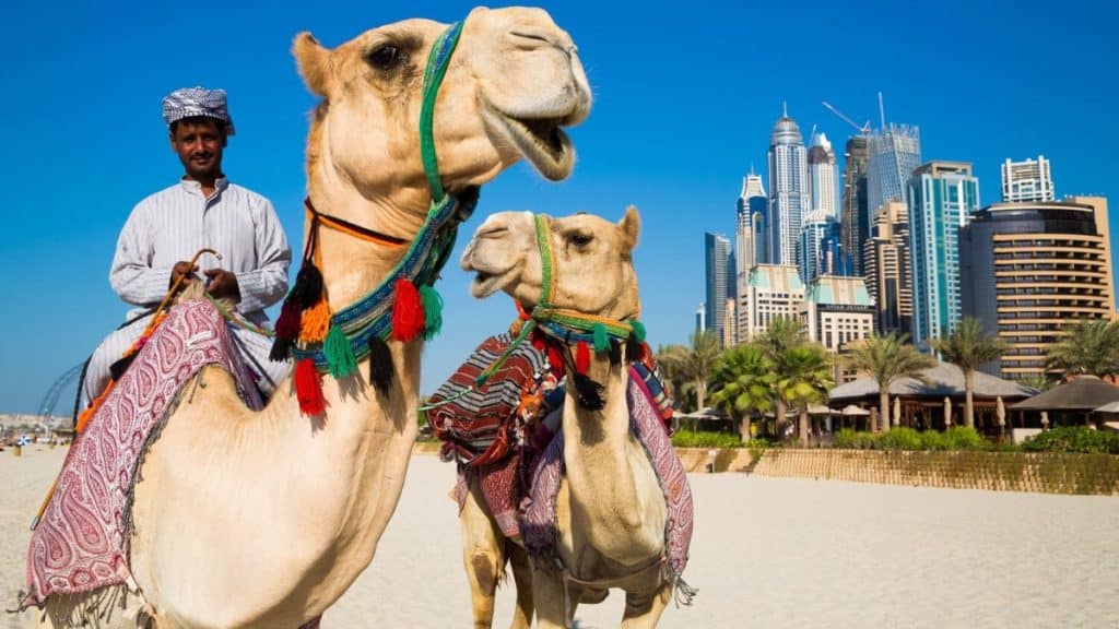 Plan je reis naar Dubai: complete Dubai reisgids voor een onvergetelijke vakantie