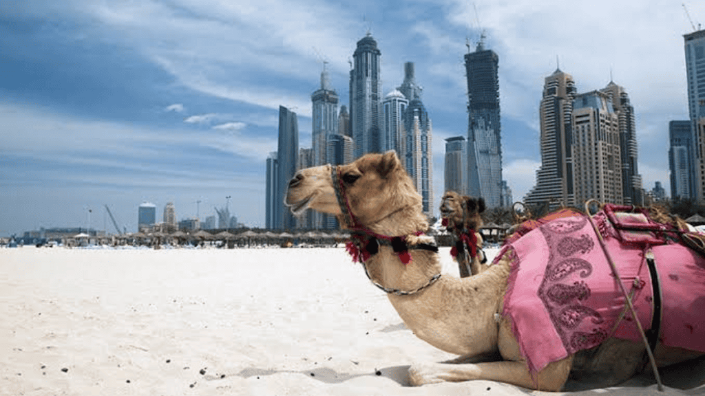 Plan je reis naar Dubai